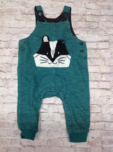 Cat & Jack Green Overalls