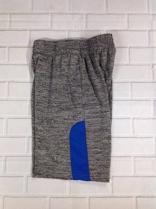 Champion Gray & Blue Shorts