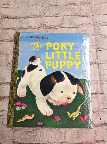 Little Golden Book Book